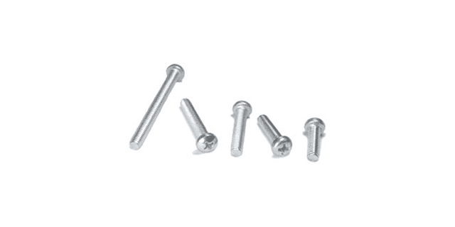 TORNILLO PHILIPS CABEZA CILINDRICA M5x30 FAROLAS Paquete x 10